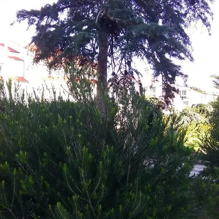 Guest house Solar Lavos *