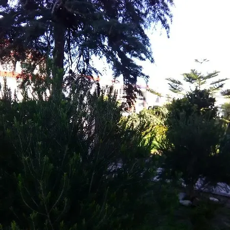 Solar Lavos Guest house
